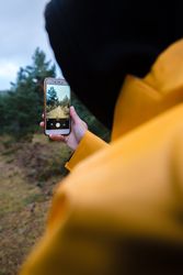 Woman in hoodie and yellow raincoat photographing forest on smartphone