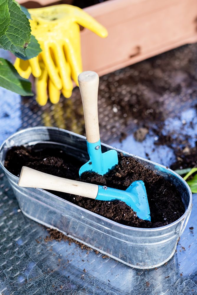 Home gardening equipment on sunny terrace
