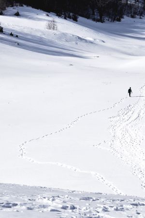 Path in the snow