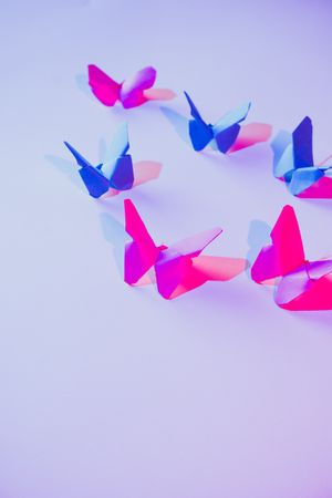 Paper butterflies and leaf on wall