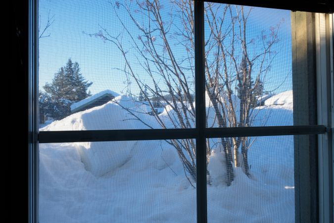 Snow pile and bush behind window