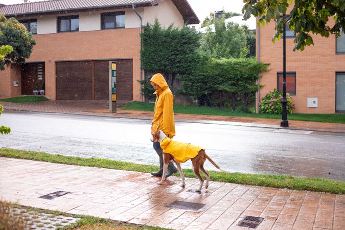 Woman in yellow jacket with hood walking with dog in cloak in street