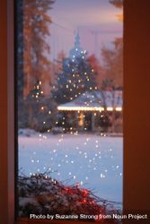 Reflection of Christmas tree lights in window of house bx83nb
