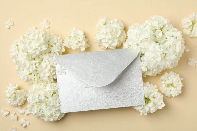 Envelope and beautiful hydrangea flowers on beige background