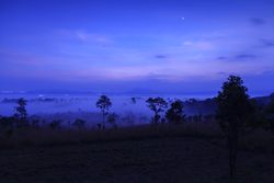 Landscape fog in morning sunrise at Thung Salang Luang National Park Phetchabun,Tung slang luang is Grassland savannah in Thailand