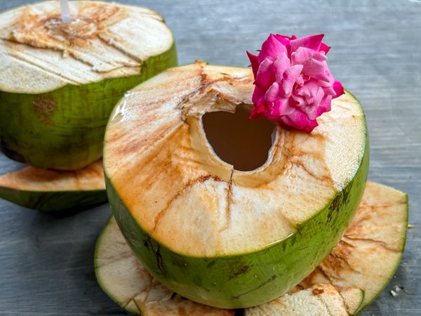 Fresh Young Coconut with Pink Rose Decoration