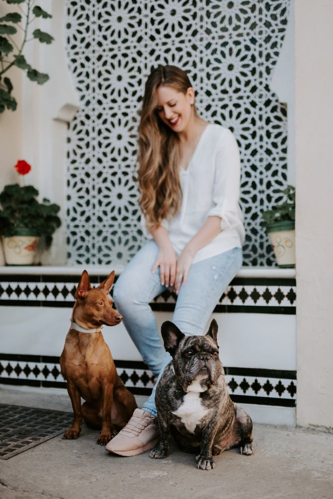 Stylish woman with dogs standing on street
