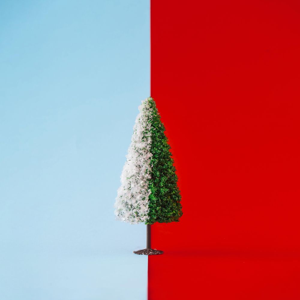 Christmas tree half with snow on duotone background