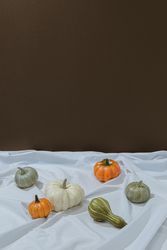 Retro styled autumn still life arrangement with squashes on light sheet and brown background