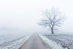 Bicycle route on a cold morning day in south Germany