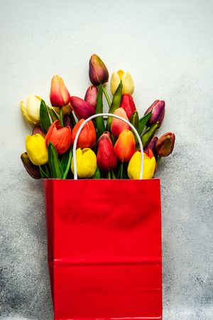 Red bag of fresh tulips on grey counter