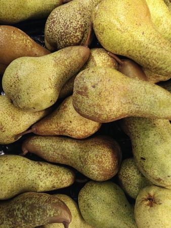 pears