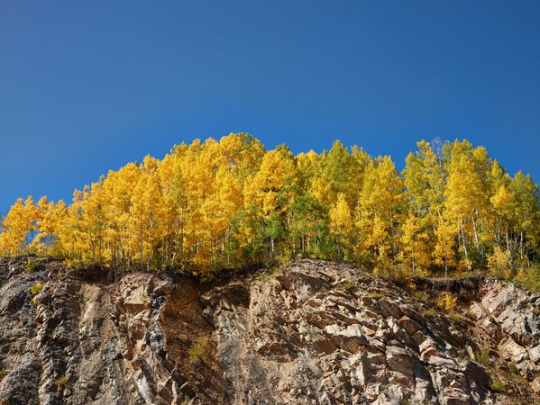 Yellow aspens atop cliff in Colorado autumn