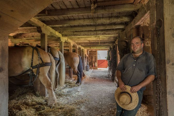 Ian Ferry and his work horses at The Howell Living History Farm in Lambertville, New Jersey
