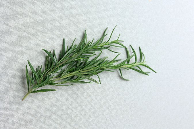 Fresh Rosemary on the Table