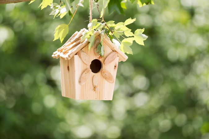 New wooden birdhouse hanging on tree branch