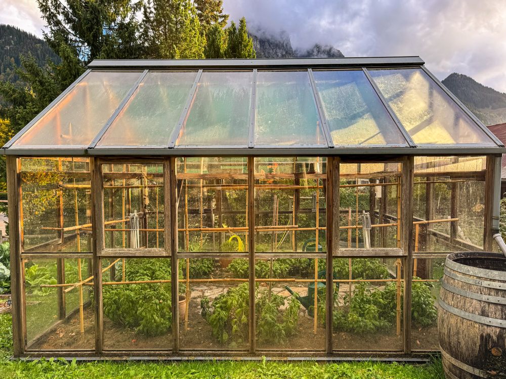 Green house at dusk