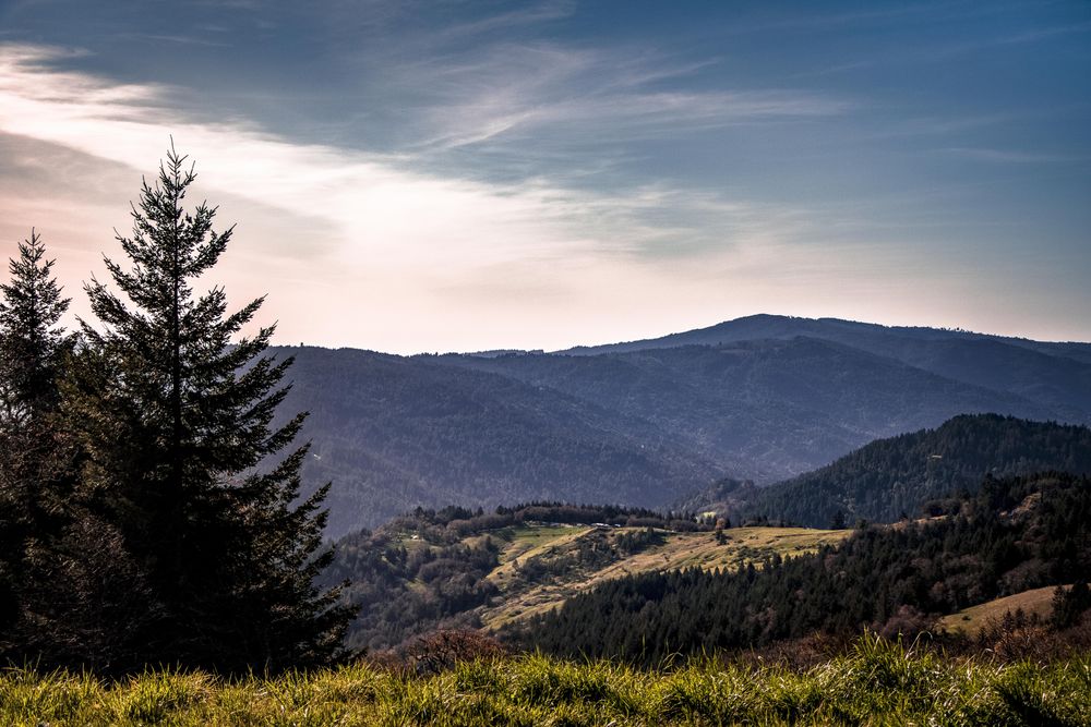 Scenic view of tree topped mountains