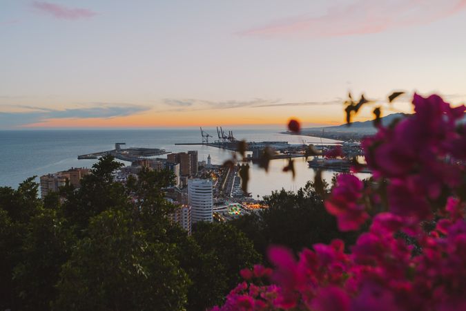 View of city and sea from hill