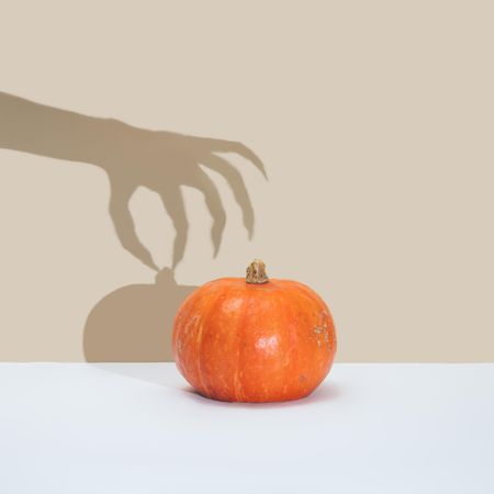 Shadow of a hand reaching for a squash