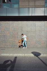 Man running and playing with his dog Boxer in a park