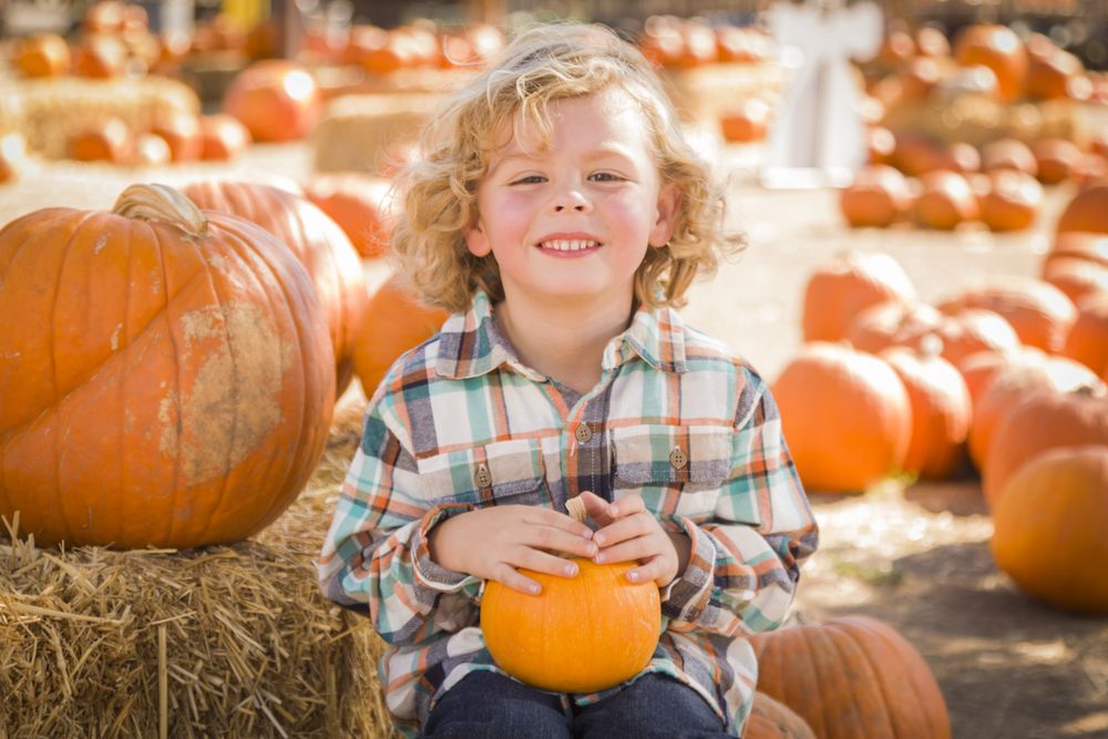 Boy His Pumpkin at Pumpkin Patch.