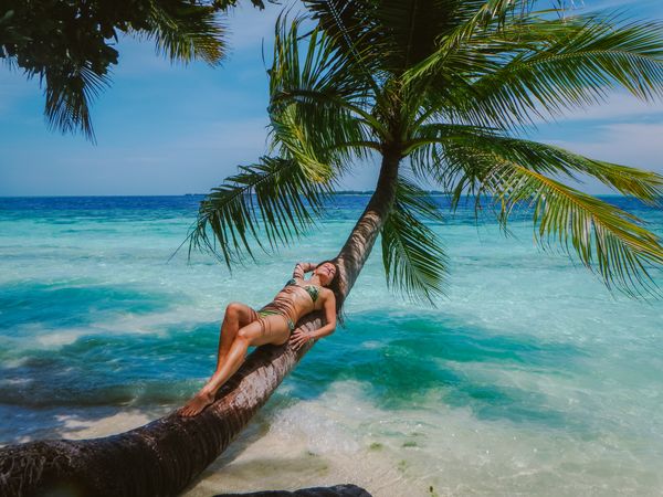 woman resting on a palm tree trunk