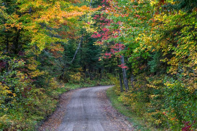 Colorful fall colors in Itasca County, MN