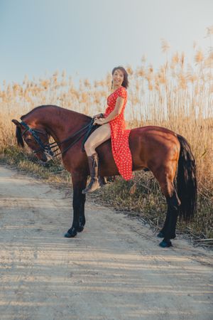 Cheerful woman riding horse in countryside