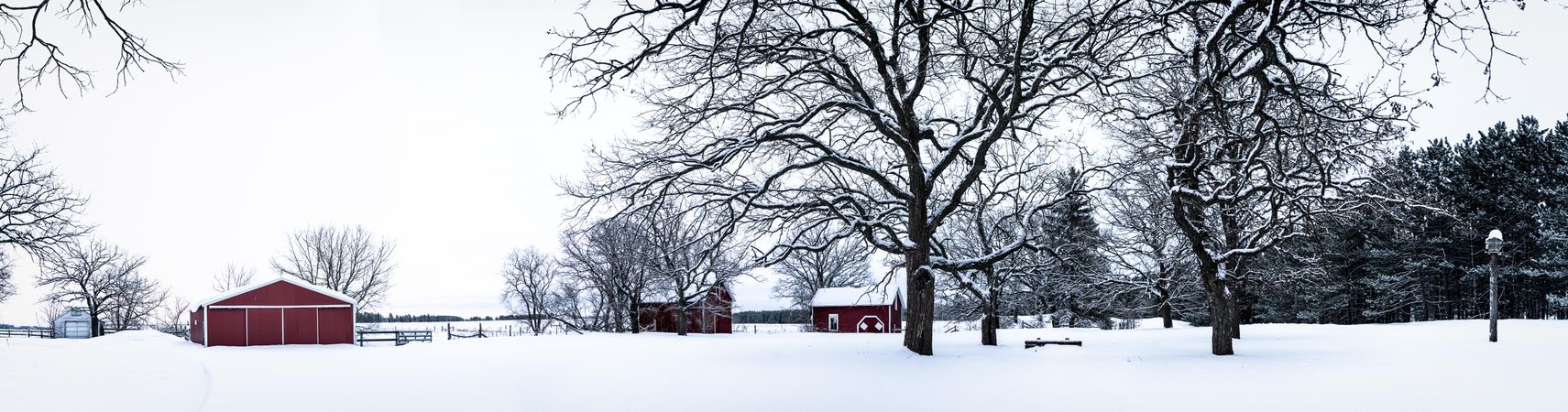 Winter day at the farm