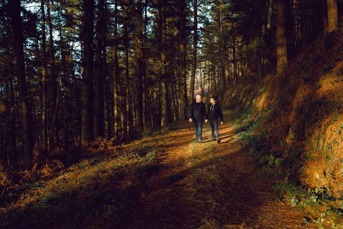 Men holding hands and walking in forest