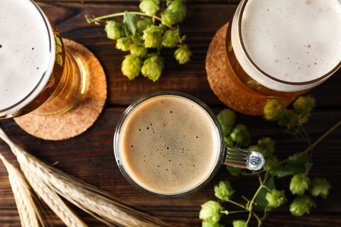 Mugs with beer and hop cones on wooden table, top view