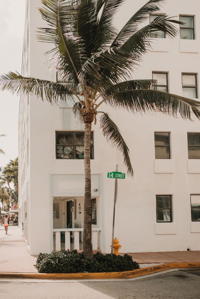 MIAMI, USA - November 13, 2018: View of beautiful city street