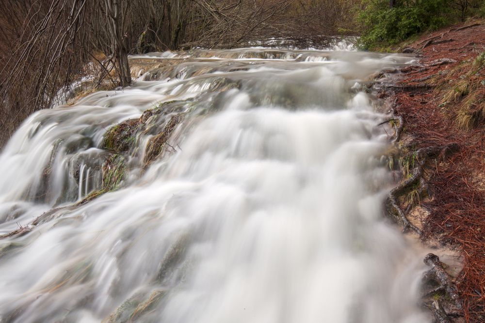 Wonderful waterfall near tree