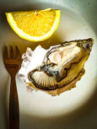 shucked oyster