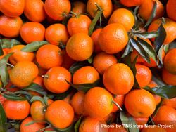 Tangerines for sale 5wXqkZ