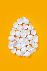 Broken egg shells in shape of egg