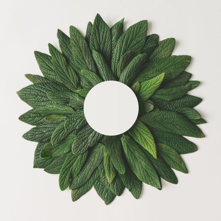 Green leaves in circle with light center on light background