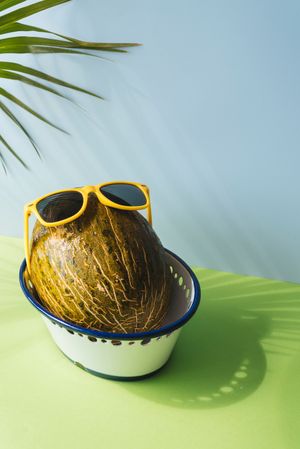 Melon with fun sunglasses