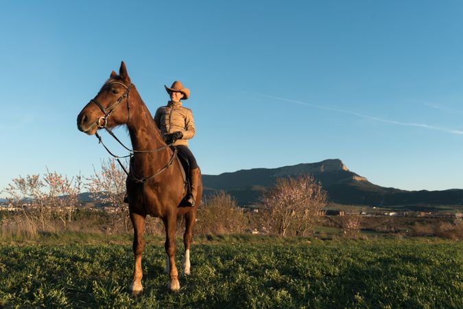 Woman on horse in field