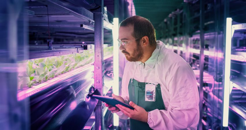 Close Up Portrait of Farming Technician Standing Next to a Row of Fresh Crops Growing at a Modern Vertical Farm. Horticulturist in Using Tablet Computer to Organize and Analyze Plant Information