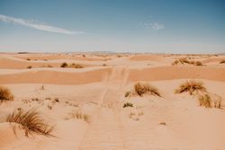Car tracks on sand in desert