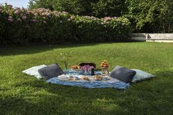 Picnic with tasty sweets and beverages for breakfast at summer garden