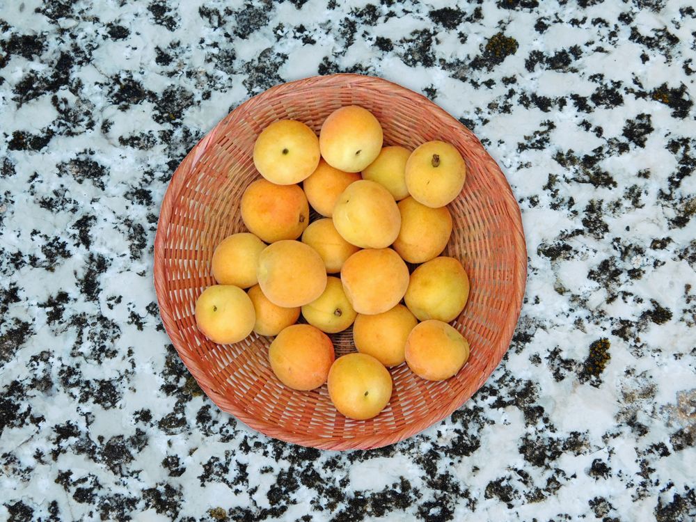 Apricots On Marble Background