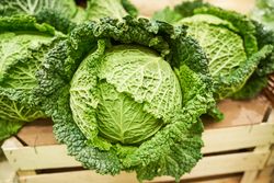Fresh cabbages on wooden table