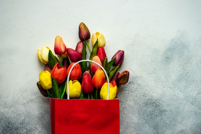 Red bag of fresh tulips on grey counter with copy space