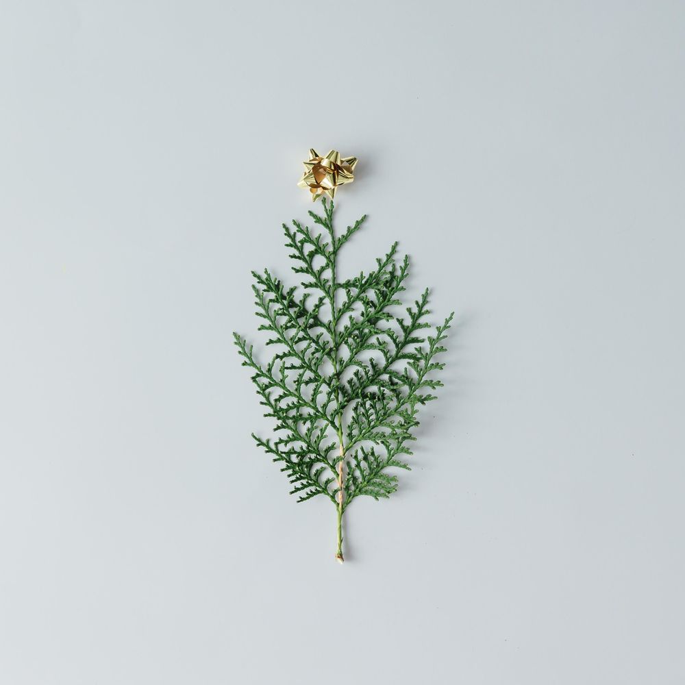 Christmas tree made of branch topped with gold bow on light background