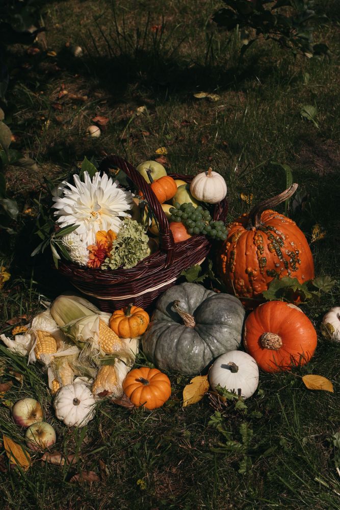 Lovely sunny autumn garden harvest composition of basket in grass