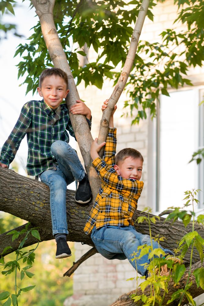 Happy brothers together
