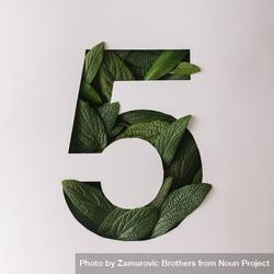 Number five shape cutout with green leaves 4ARDqb
